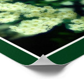 Rambling Wild White Roses Abstrakt Poster (Ecke)