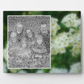 Rambling Wild White Roses ergänzen Ihr eigenes Fot Fotoplatte (Vorderseite)