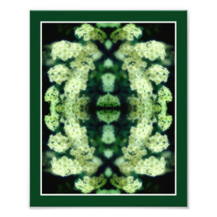 Rambling Wild White Roses Mirror Abstrakt 8x10 Fotodruck