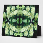 Rambling Wilde White Roses kreieren Ihr eigenes Fo Fotoplatte (Seite)