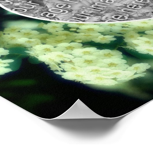 Rambling Wilde White Roses kreieren Ihr eigenes Fo Poster (Ecke)