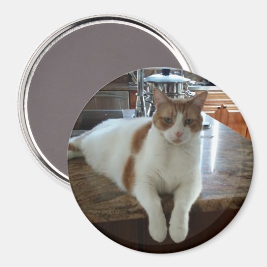 Rambo - Orange Kitty Magnet (Vorderseite/Rückseite)