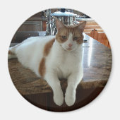 Rambo - Orange Kitty Magnet (Vorne)