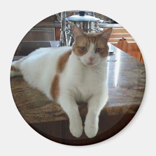 Rambo - Orange Kitty Magnet (Vorne)