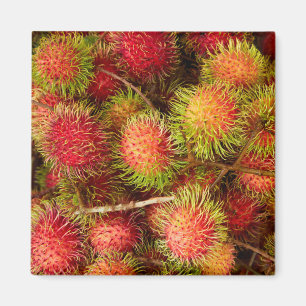 Rambutan-Frucht auf dem Can Duoc-Markt Magnet