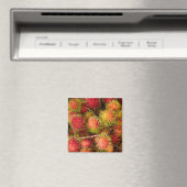 Rambutan Fruit auf dem Can Duoc Market Magnet (In Situ (Geschirrspüler))