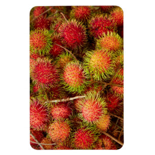 Rambutan Fruit auf dem Can Duoc Market Magnet