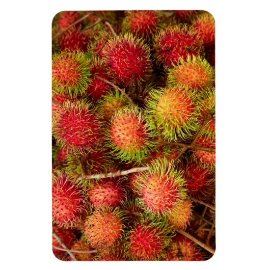 Rambutan Fruit auf dem Can Duoc Market Magnet (Vertikal)