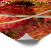 Rambutan Fruit auf dem Can Duoc Market Poster (Ecke)