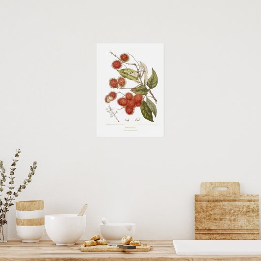 Rambutan Poster (Küche)
