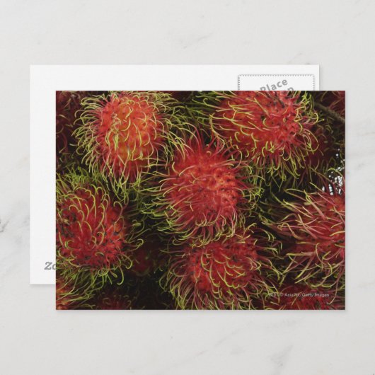 Rambutan Postkarte (Vorne/Hinten)