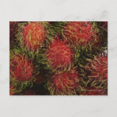 Rambutan Postkarte (Vorderseite)