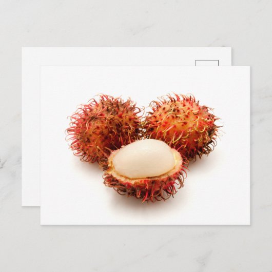 Rambutan Postkarte (Vorne/Hinten)
