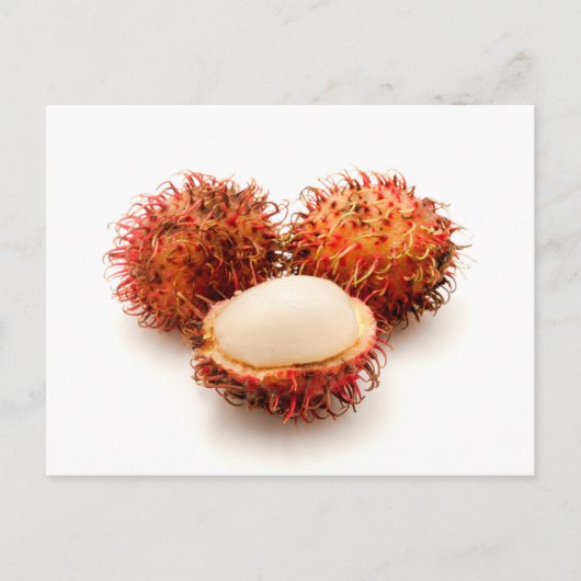 Rambutan Postkarte (Vorderseite)