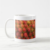 Rambutan Tropical Fruit Kaffeetasse (Links)