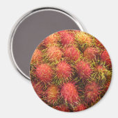 Rambutan Tropical Fruit Magnet (Vorderseite/Rückseite)