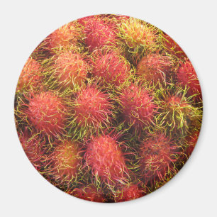 Rambutan Tropical Fruit Magnet