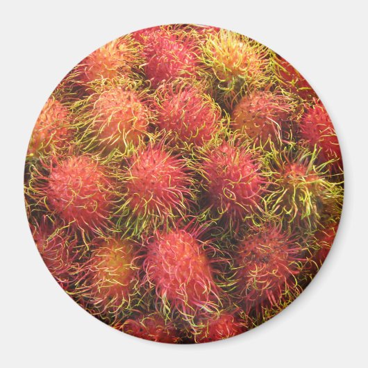 Rambutan Tropical Fruit Magnet (Vorne)