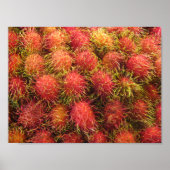 Rambutan Tropical Fruit Poster (Vorne)
