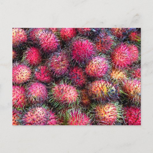 Rambutans Foto Postkarte (Vorderseite)