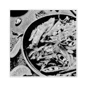 Ramen-Kunstwerk Gummistempel (Prägung)