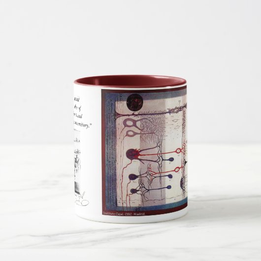 Ramon Y Cajal Tasse (Zentrum)