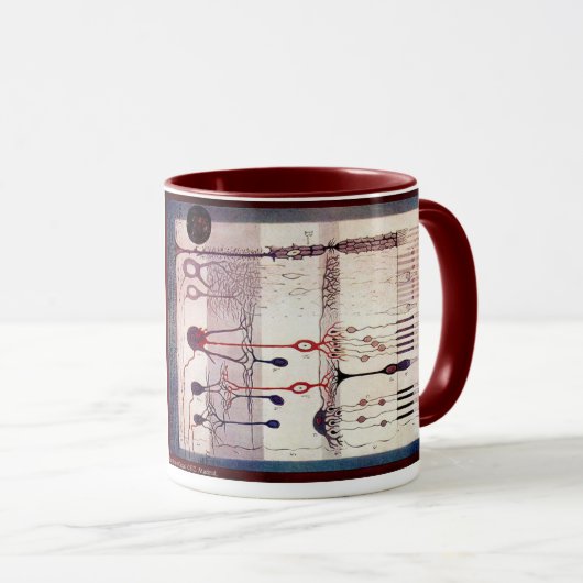 Ramon Y Cajal Tasse (VorderseiteRechts)