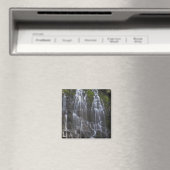 Ramona Falls in Clackamas Landkreis, Oregon Magnet (In Situ (Geschirrspüler))