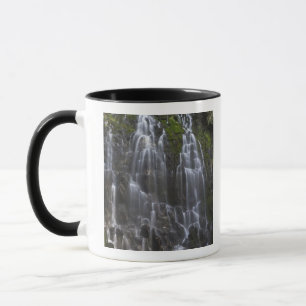 Ramona Falls in Clackamas Landkreis, Oregon Tasse