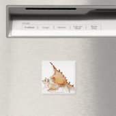 Ramose Murex (Chicoreus ramosus) Muschel gegen Magnet (In Situ (Geschirrspüler))