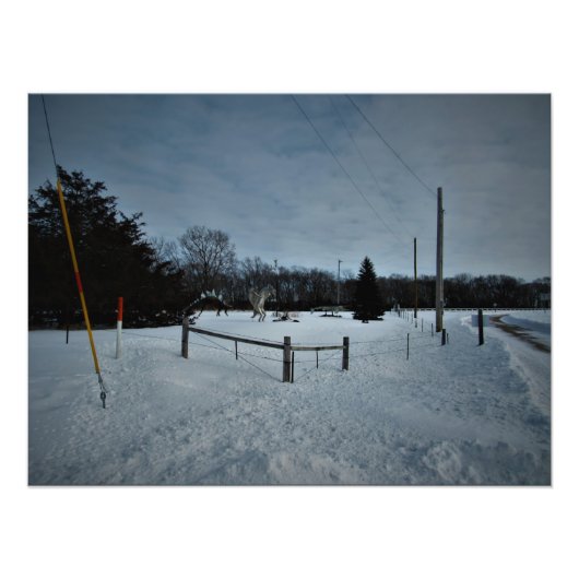 "Rampage in Park" Fotodruck (Vorne)