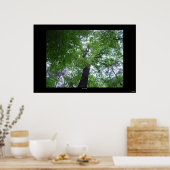 Ramsey Canopy Poster (Küche)