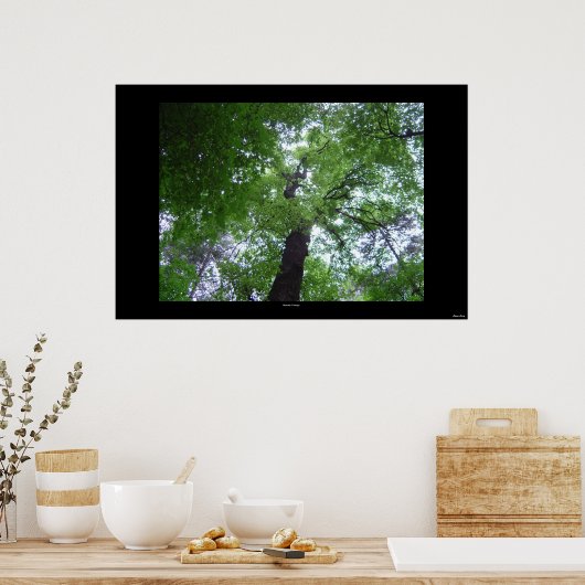 Ramsey Canopy Poster (Küche)