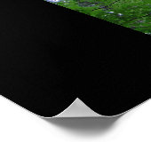 Ramsey Canopy Poster (Ecke)