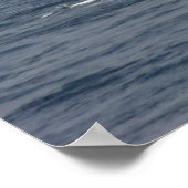 Rana (D 52) Poster (Ecke)