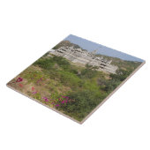 Ranakpur Jain Temple, Ranakpur, Rajasthan, Indien Fliese (Seite)