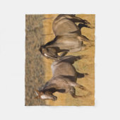 Ranch auf der Ranch von Ponderosa Fleecedecke (Vorderseite)