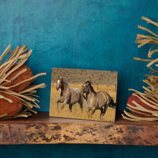 Ranch auf der Ranch von Ponderosa Fotoplatte (Seite)