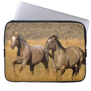 Ranch auf der Ranch von Ponderosa Laptopschutzhülle