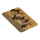 Ranch auf der Ranch von Ponderosa Magnet (Rechte Seite)