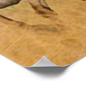 Ranch auf der Ranch von Ponderosa Poster (Ecke)