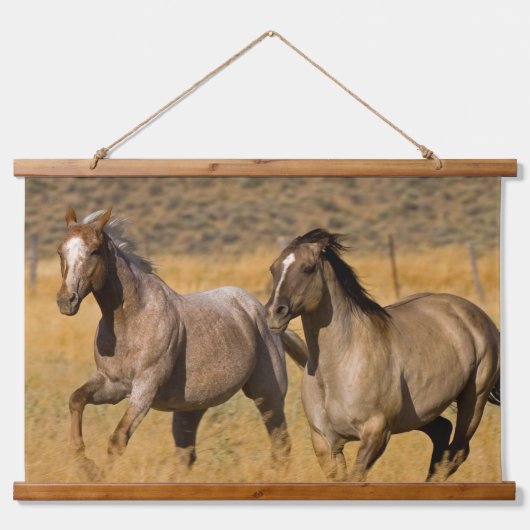 Ranch auf der Ranch von Ponderosa Wandteppich Mit Holzrahmen (Vorne)