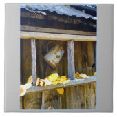 Ranch Can Fliese (Vorderseite)