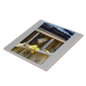 Ranch Can Fliese (Seite)