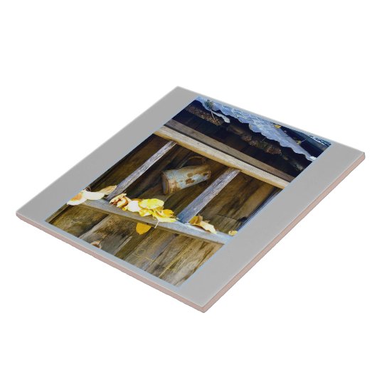 Ranch Can Fliese (Seite)