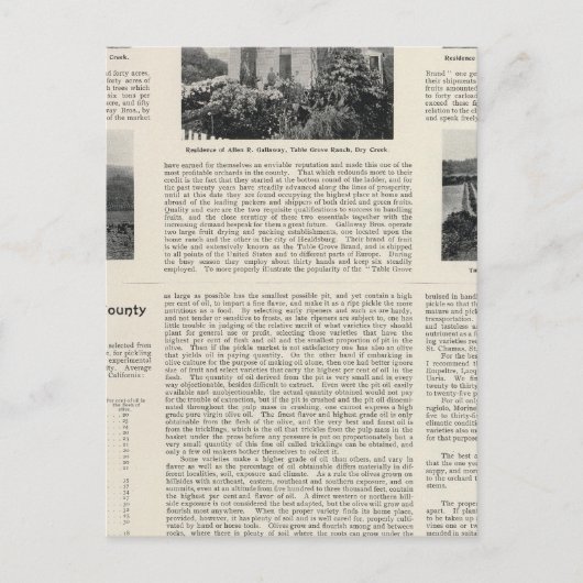 Ranch der Tafelhütte, Kalifornien Postkarte (Vorderseite)