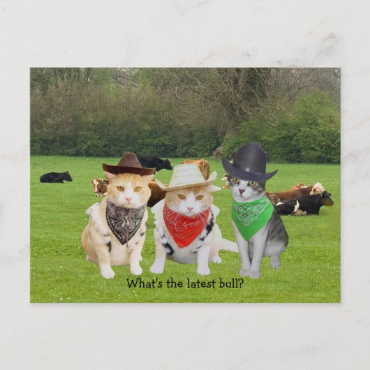 Ranch Hand - arbeitende Katzen Postkarte (Vorderseite)