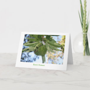 Ranch-Kastanien Feiertagskarte