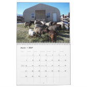 Ranch Life auf der Blackman Ranch Kalender (Mär 2027)
