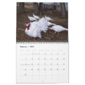 Ranch Life Kalender (Feb 2027)